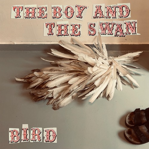 BIRD AKA JANIE PRICE - The Boy and The Swan