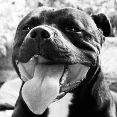 Drankdakidd - Rockin