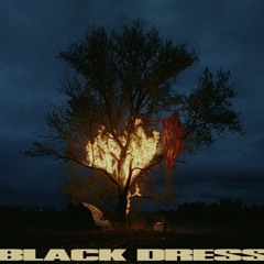 Anyma vs. Lana del Ray - Black Summertime Dress (De Biasi & Pinato Edit)