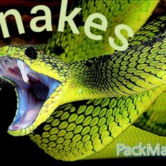 Snakes
