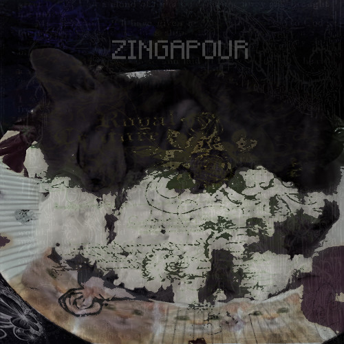 ZINGAPOUR