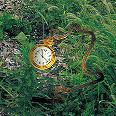 pocketwatch