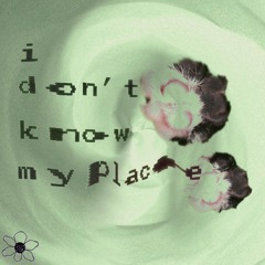 i don't know my place