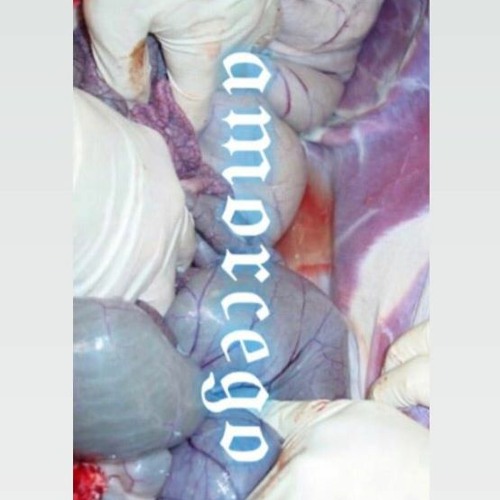 AMORCEGO