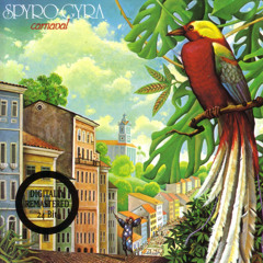 Cachaca
