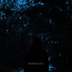 WHATYOULIKE? (Prod. Badsoul)