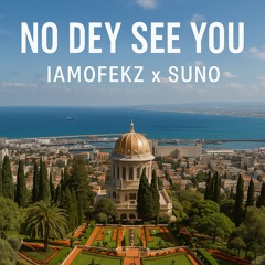 No Dey See You - IamOfekZ