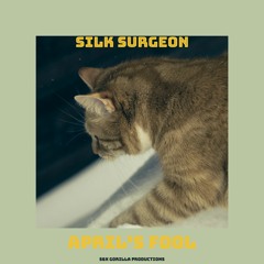 April's Fool (Feat Silk Surgeon)