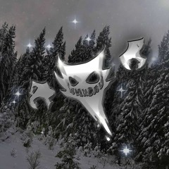 ZXC AGGRESSIVE - Lwx