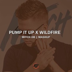 Danko - Pump It Up X Bougenvilla - Wildfire (MITCH DB Mashup)