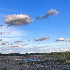 sethbdyuri