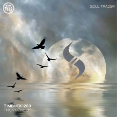 Timbuck1200 - Space & Time