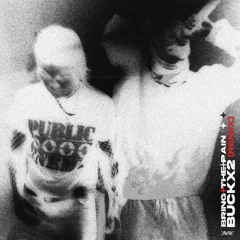 BUCKX2 X RUZLXN - BRING THE PAIN (REMIX)