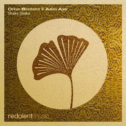 Orkun Bozdemir, Adios Ayer - Shake Shake (Radio Edit)