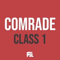 COMRADE: From allies to comrades