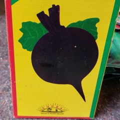 Sentient Seeds - With Abdellah Essafi