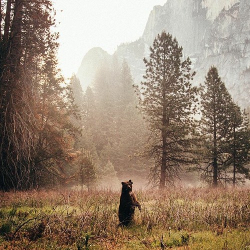 Existentially Oriented | وجوديّ التوجه