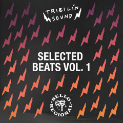 Camanchaca - TC2000 (Tribilin Sound Remix)