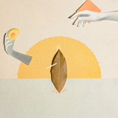 Cantiga (feat. Shamani)