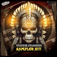 Rob Da Rhythm - Darkside Unleashed Sampler XIII Album Mix