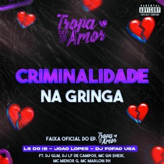 MTG - CRIMINALIDADE NA GRINGA Ft. DJ GLM, DJ LF De Campos, MC GN Sheik, MC Marlon PH, MC Menor G
