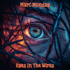 Eyes In The Wires
