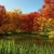 Artwork for Angus Reid audio background music 🍒FREE DOWNLOAD