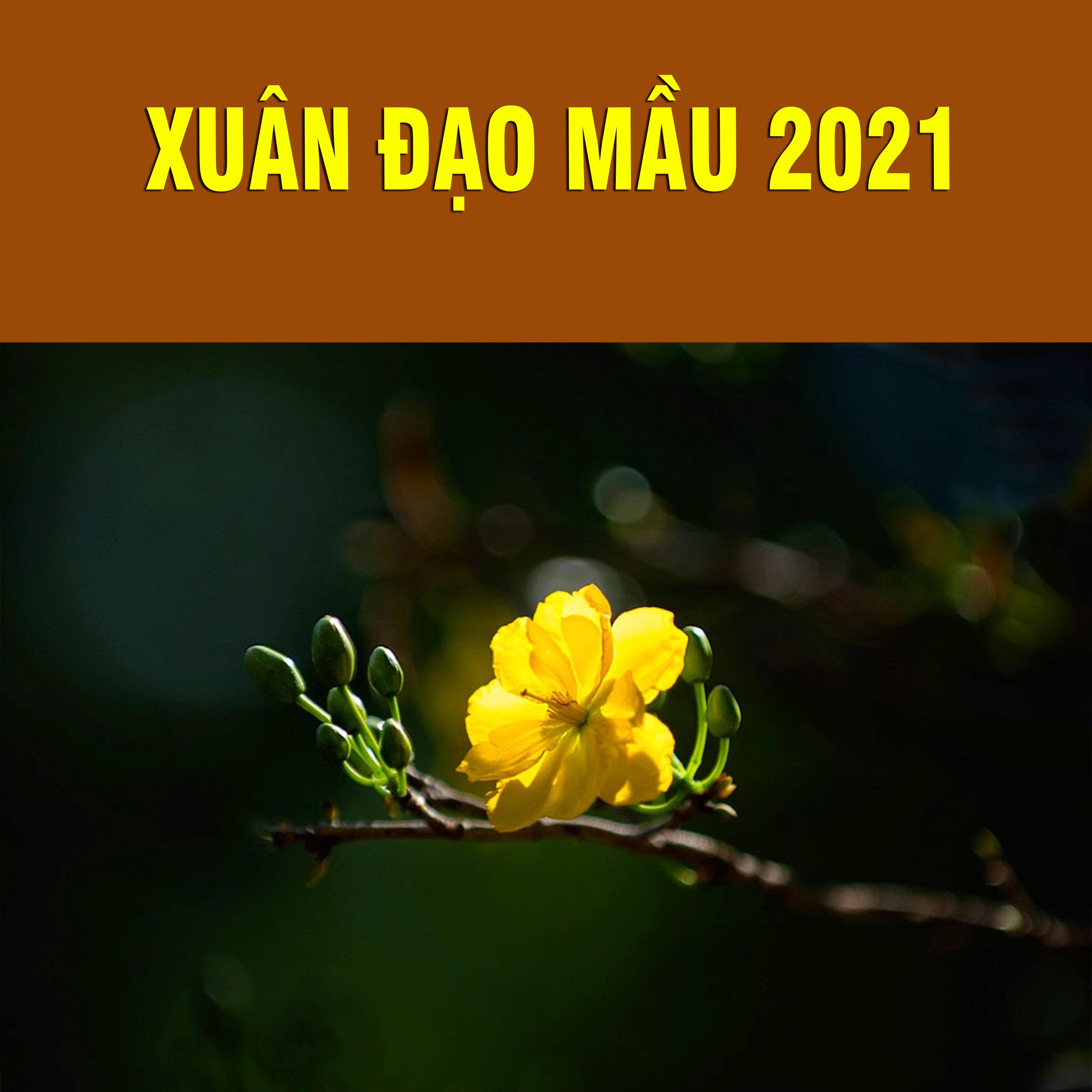 Thích Bảo Nguyên