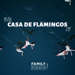V/A - Casa de Flamingos IV (Family Piknik Music)