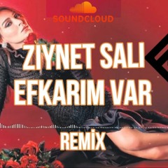 Ziynet Sali - Efkarım Var ( Murat Yaran Remix )