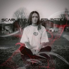 Scarlet's Selection Mix