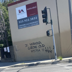Street Love Song