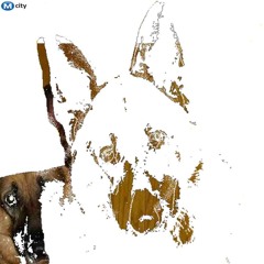 Stray Dog (feral cat)