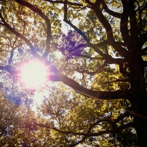 Stream Amazing Grace (instrumental bagpipe) by Eric Maclewis Listen