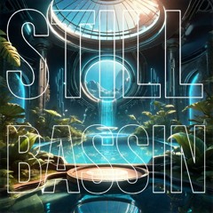 STILL BASSIN