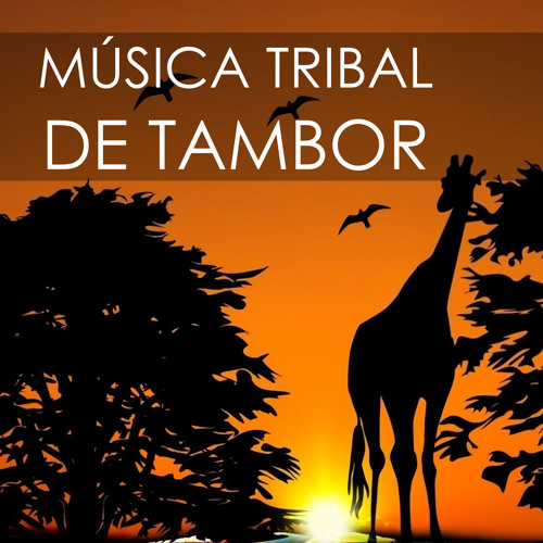 Stream Bosque Africano en la Noche (Sonidos de la Naturaleza) by African  Tribal Drums | Listen online for free on SoundCloud