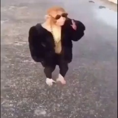 2025 Monke Flips