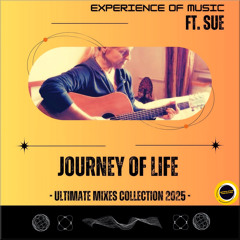 Journey Of Life (Dancefloor Formation 90s Radio Mix) [feat. Sue]