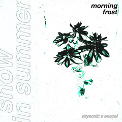 Skysonix x socool - Morning Frost (Single)