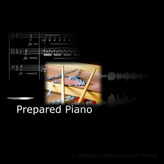 Xsample Prepared Piano Impro 2