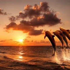 Bonus Zac Chat ~ Time To Ignite Our Soul Maturity ~ January 2021