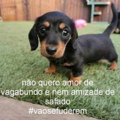 hoje eu irei te ensinar certin. [DJ BOIOLA]