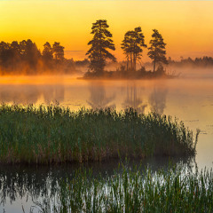 Crane Lake at Dawn