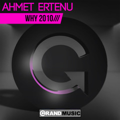 Why 2010 (Ahmets Retake)