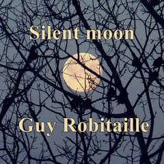 Silent moon