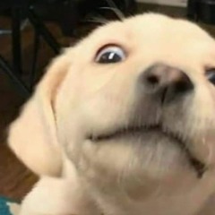 ชอบความเหงา