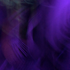 Wwwhyyy. Ft. Don, Wooh, Cory