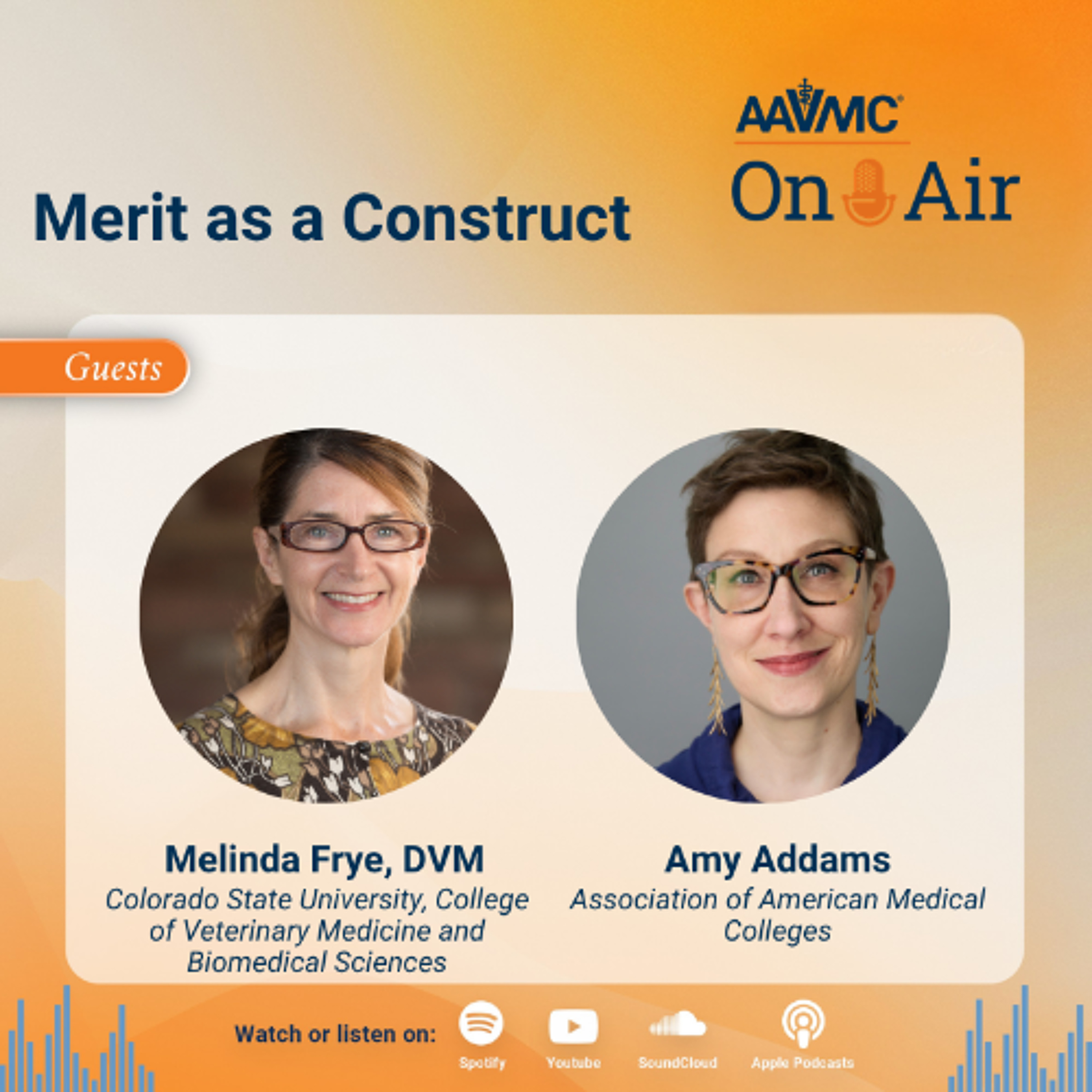 154: Merit as a Construct episode artwork