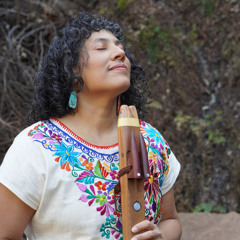 Medicine Drum and Native Flute