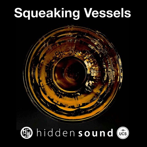 Squeaking Vessels Montage 192 KHz Files